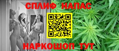 Альфа ПВП Тула