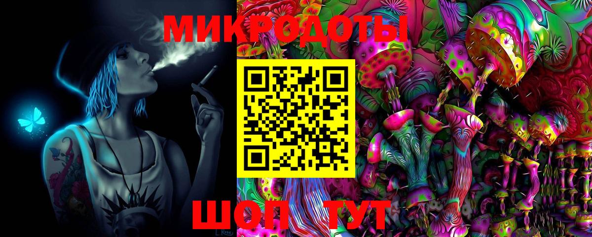 Богданович  Псилоцибиновые грибы MAGIC MUSHROOMS  Вход с VPN 