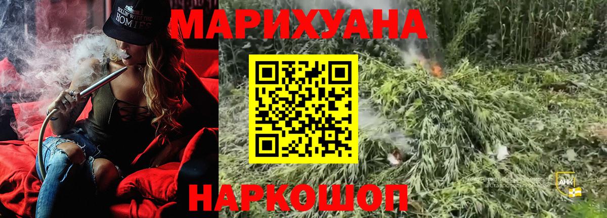 Шишки марихуана OG Kush Богданович